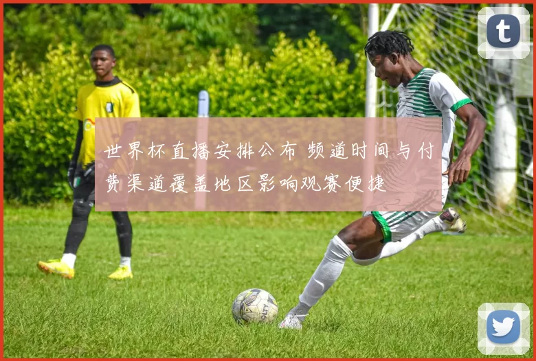 世界杯直播安排公布 频道时间与付费渠道覆盖地区影响观赛便捷