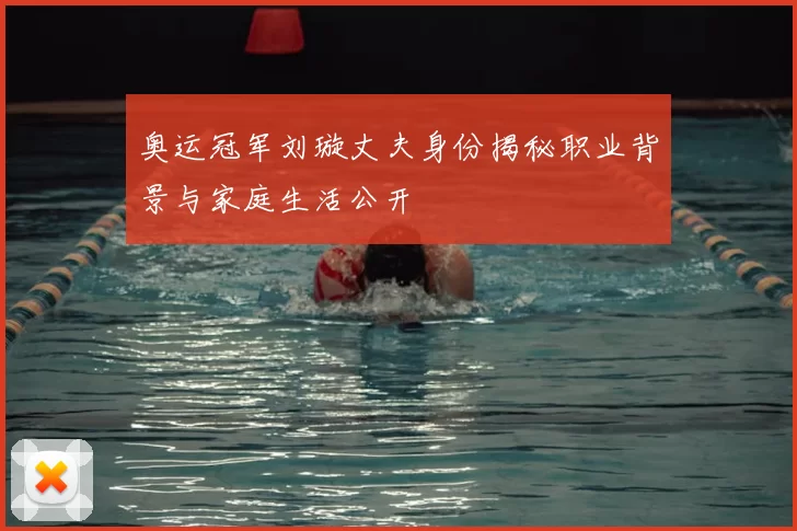 奥运冠军刘璇丈夫身份揭秘职业背景与家庭生活公开