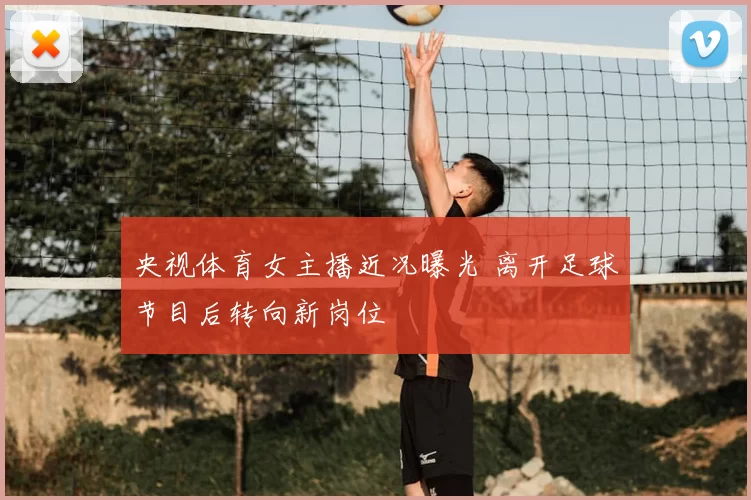 央视体育女主播近况曝光 离开足球节目后转向新岗位