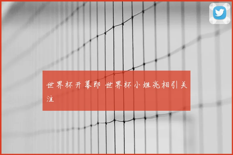 世界杯开幕即 世界杯小姐亮相引关注