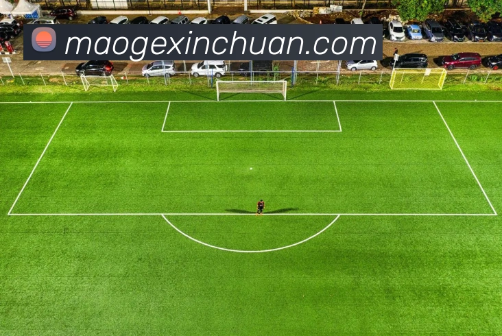 mksports官网登录平台生态图
